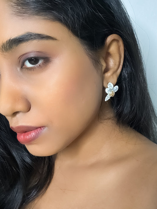 Allure-Ash Milky